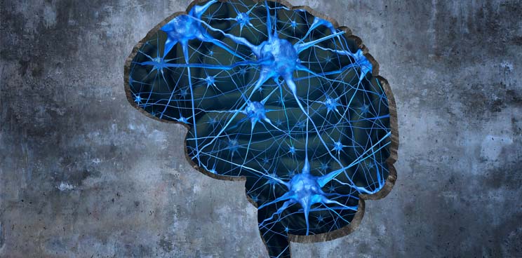 alzheimers dementia discovery fund takeda weizmann biogen rodin