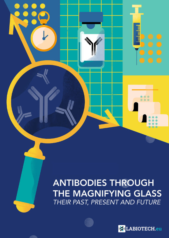 Antibodies through the magnifying glass 2