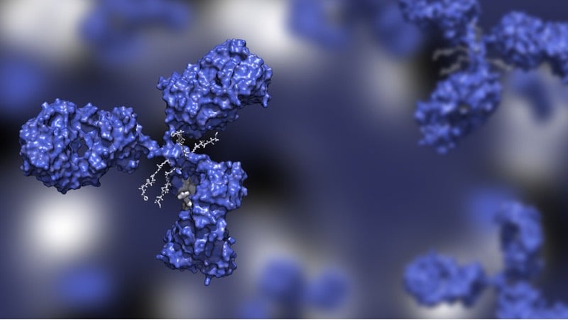 antibody drug conjugate adc small cancer treatment