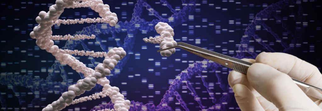 Casebia gene editing and CRISPR header