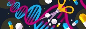 CRISPR Cas9 gene editing