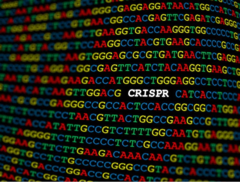 crispr genomics code