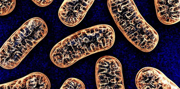 mitochondria nanna therapeutics