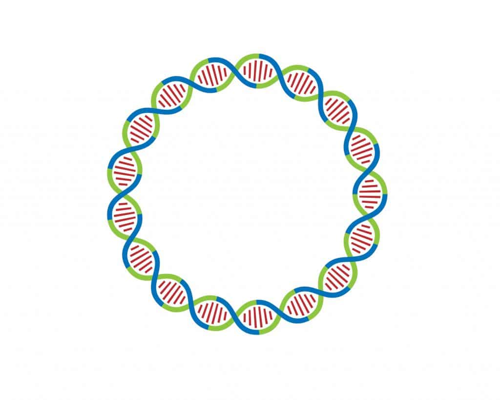 Merck puts up to $37B into Orna Therapeutics circular RNA collaboration