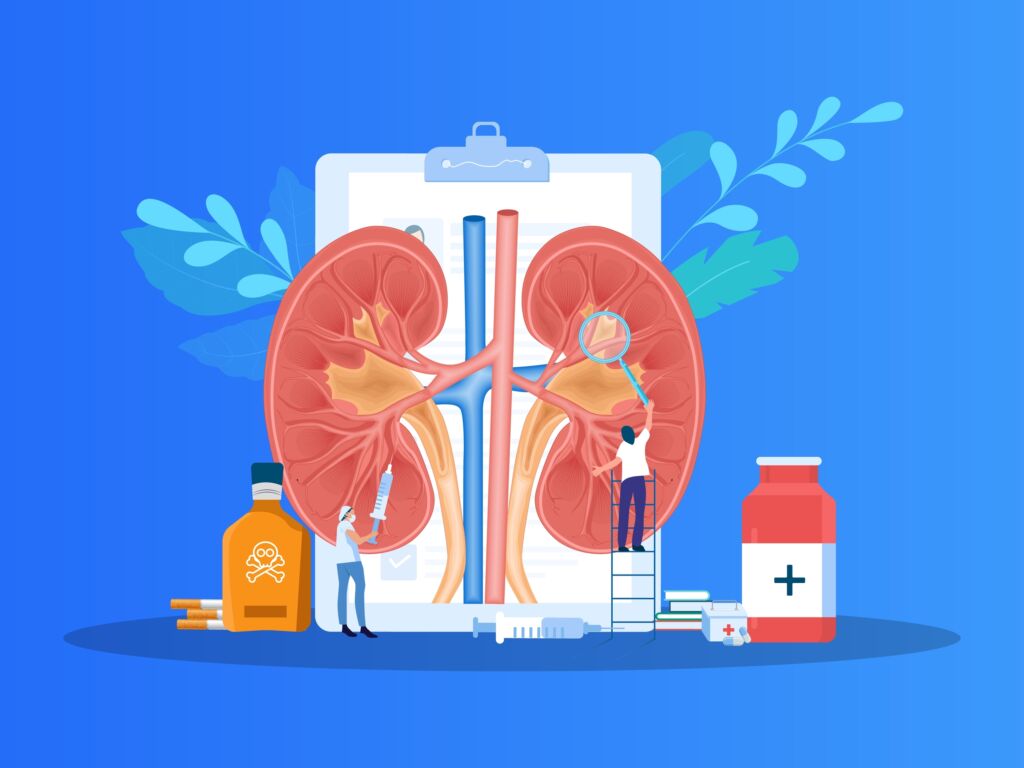 kidneys kidney disease