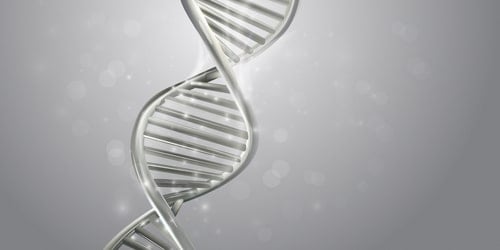 DNA genome