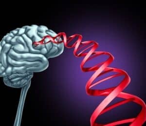 genetics Alzheimer's disease