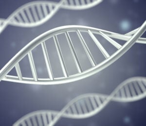 DNA RNA riboswitch