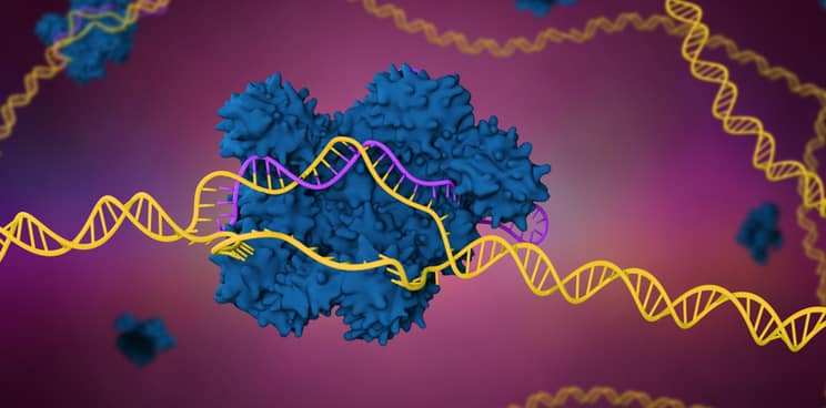 CRISPR, CRISPR-Cas9, genome-editing, gene therapy