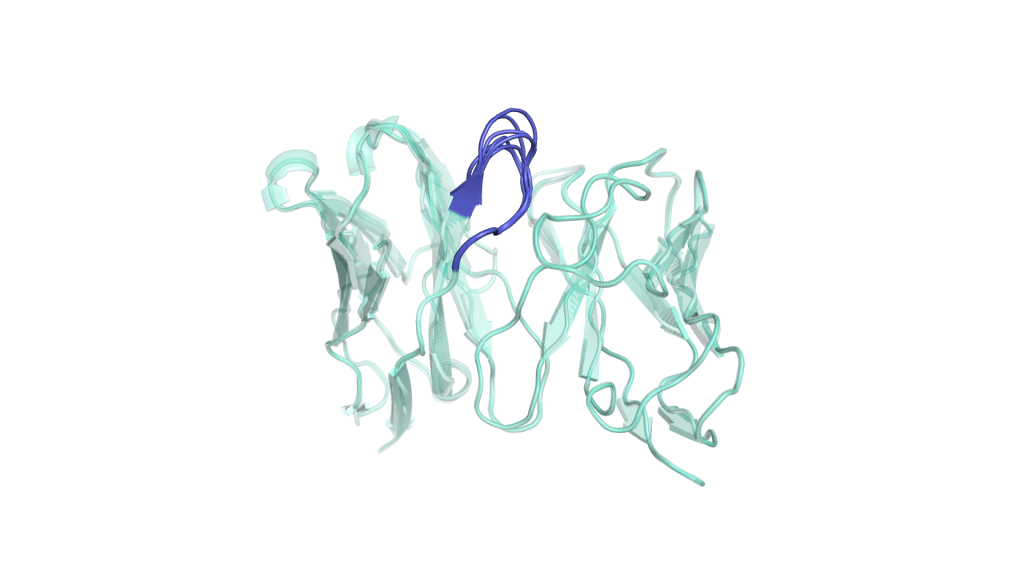 Antiverse GPCR