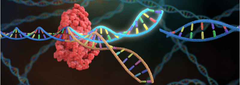 CRISPR Therapeutics, CRISPR-Cas9, genome editing, biotech